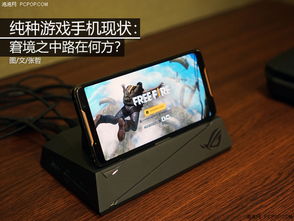 游戏手机的现状,现状解析与未来展望
