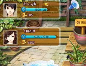 钻花园游戏,探索奇幻花园的冒险之旅