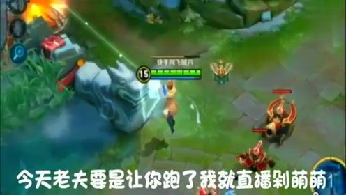 稽君游戏解说,深度解析游戏魅力与技巧