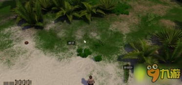 棕榈叶游戏,探索神秘古文明的智慧之旅