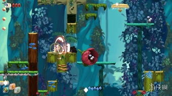 护蛋游戏步骤,感悟生命之珍贵