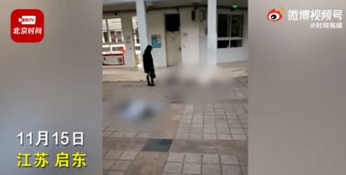 死亡游戏坠楼,揭开真相的惊心动魄之旅