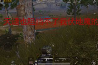 游戏里苟,如何在虚拟世界中“苟”出一片天地