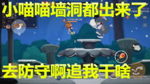 阿提猫游戏,探索奇幻世界的冒险之旅