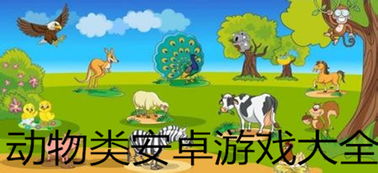 动物游戏推荐,探索自然界的游戏奥秘