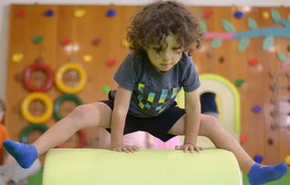 大人反应游戏,解锁成年人的虚拟冒险与情感释放之旅