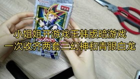 韩版暗游戏,经典IP与创新玩法的完美融合