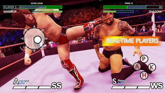 大摔角游戏,盘点摔角游戏的发展历程与精彩瞬间