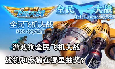 飞机游戏狗,狗视角下的飞机游戏冒险之旅