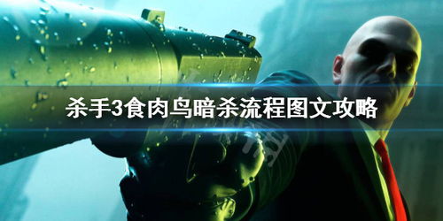 食肉鸟游戏,丛林法则下的生存挑战