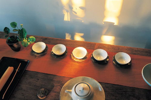 品茶几游戏,一场别开生面的茶艺竞技之旅