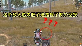 和平精英游戏分析,深度解析战术竞技手游的魅力与挑战