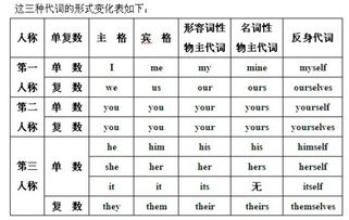 代词语言游戏,探索语言游戏中的代词运用技巧