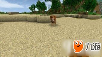 驯狮子游戏,揭秘驯狮子游戏的魅力与挑战