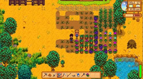 深村游戏,解锁奇幻冒险之旅