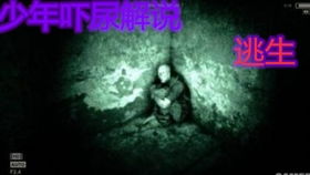 恐怖游戏双子,心理惊悚冒险游戏双子幻境深度解析