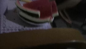 打蝇子游戏,寓教于乐的全新体验