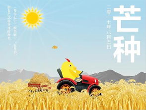 芒种是游戏,幼儿园里的“仲夏之梦”节气体验