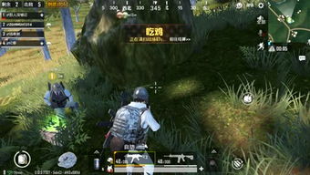 串串游戏说,挑战无穷的休闲娱乐新体验