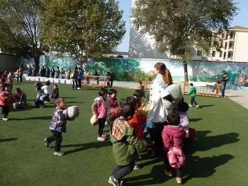 组织幼儿户外游戏,幼儿户外游戏组织实践与启示
