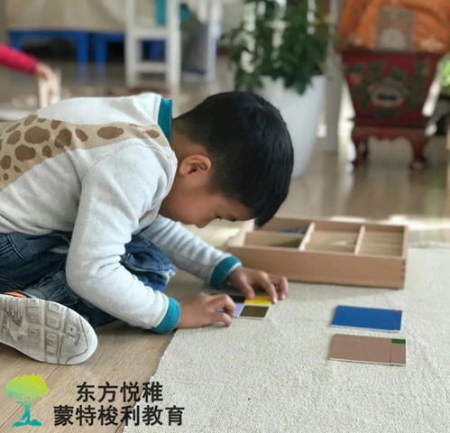 立方根游戏,立方根游戏深度解析